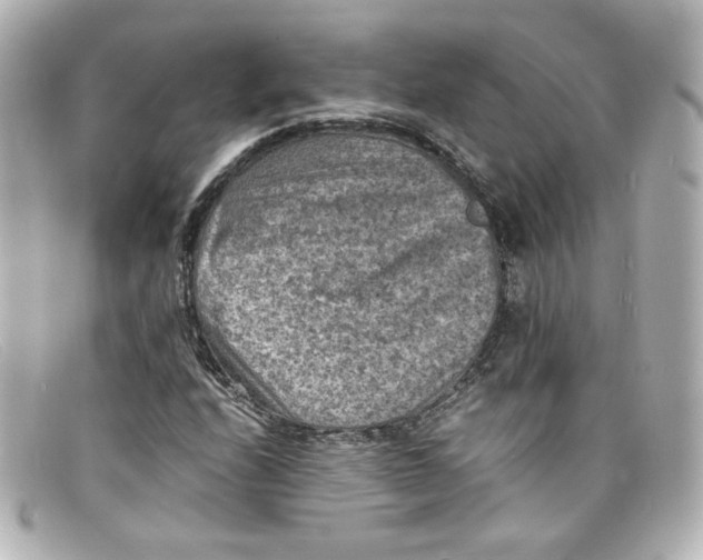 X0000098161208200805081056