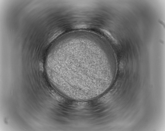X0000098161209200805081056