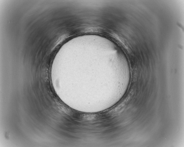 X0000098161211200805081056