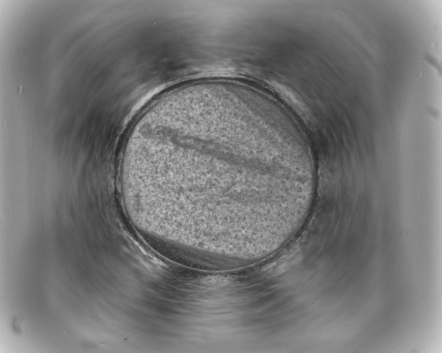 X0000098161212200805081056