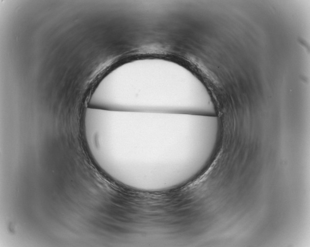 X0000098161213200805081056