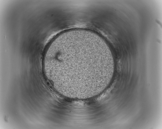 X0000098161214200805081056