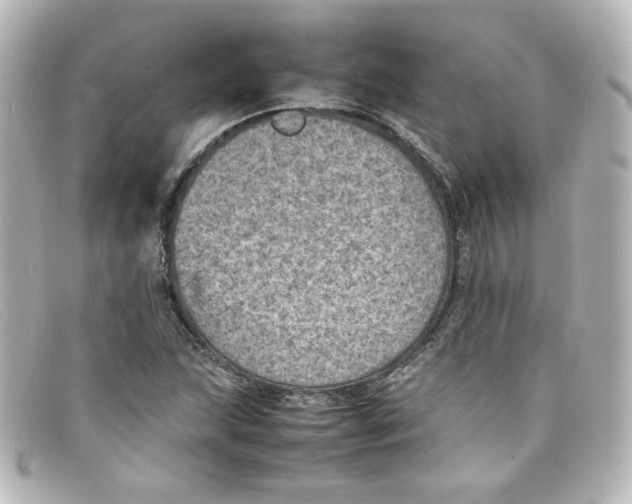 X0000098161215200805081056