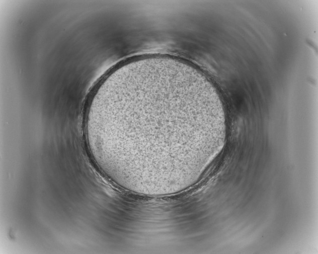 X0000098161216200805081056
