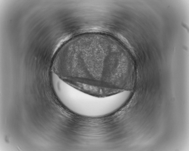 X0000098161218200805081056