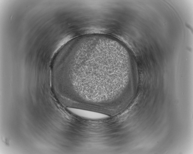 X0000098161219200805081056