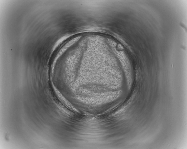 X0000098161222200805081056