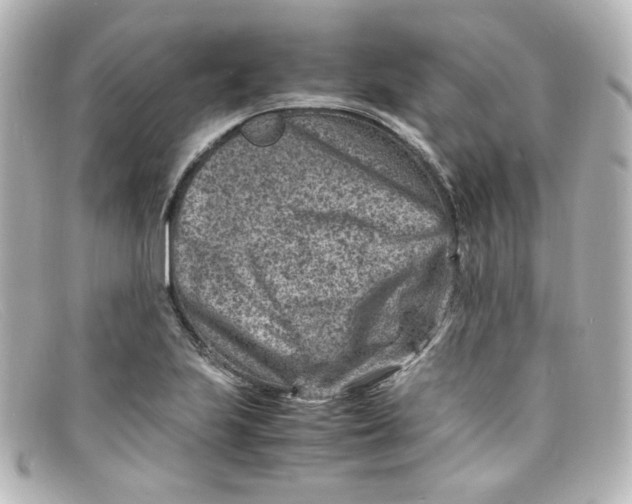 X0000098161223200805081056