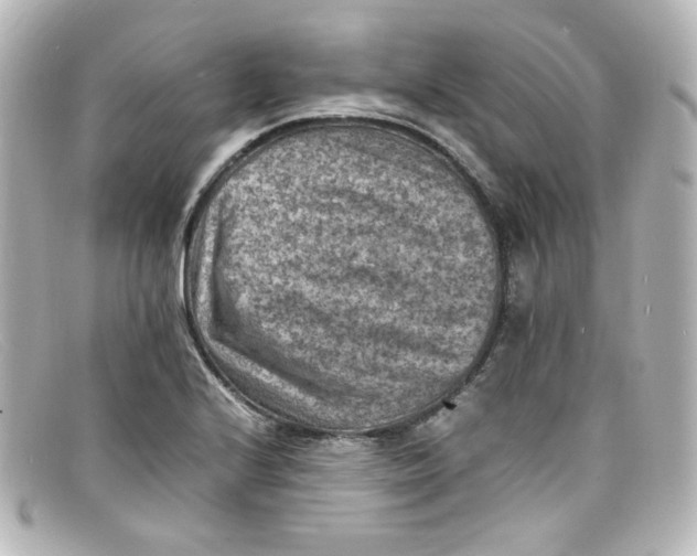 X0000098161224200805081056