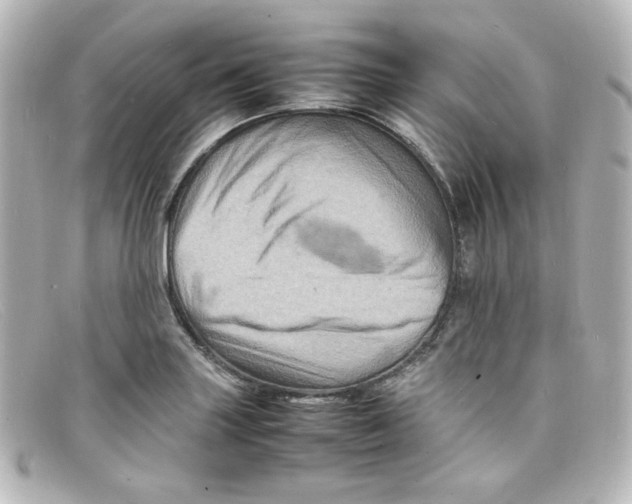 X0000098161227200805081056