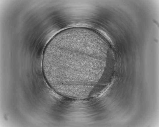X0000098161228200805081056