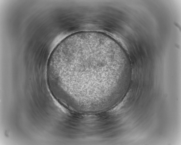 X0000098161231200805081056