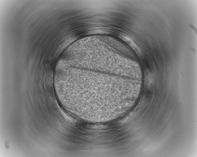 X0000098161233200805081056