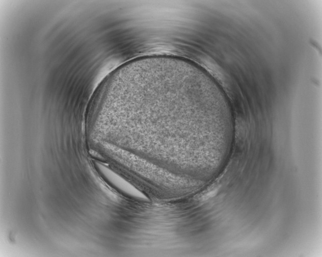 X0000098161234200805081056