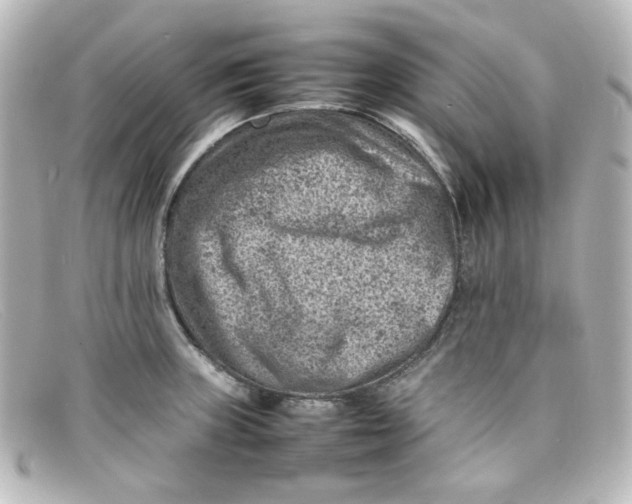 X0000098161235200805081056