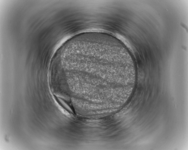 X0000098161237200805081057