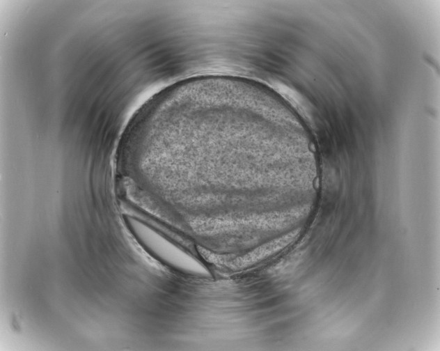 X0000098161238200805081057