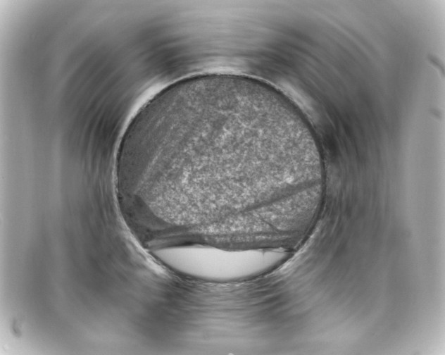X0000098161240200805081057
