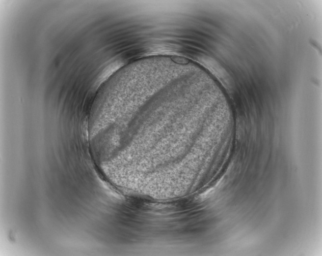 X0000098161241200805081057