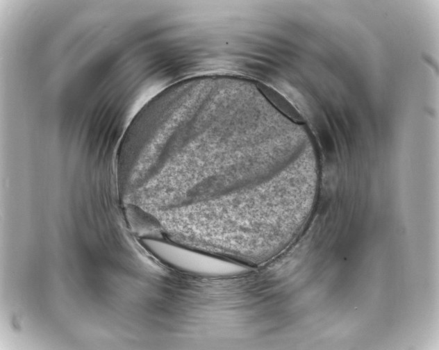 X0000098161242200805081057