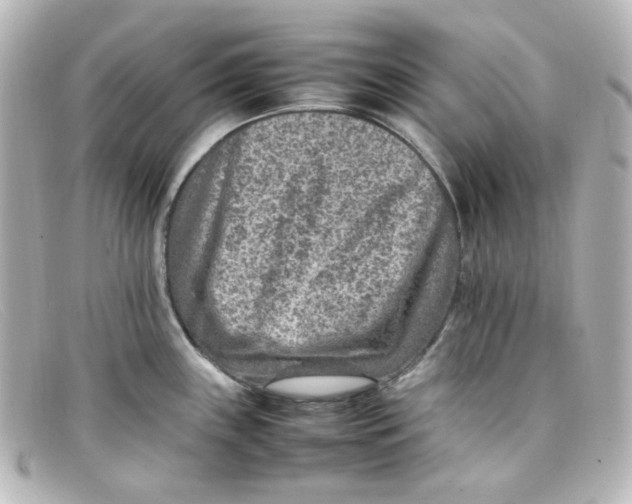 X0000098161243200805081057
