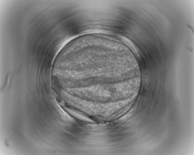 X0000098161244200805081057