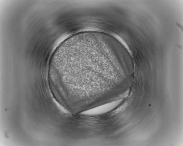 X0000098161245200805081057