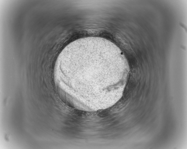 X0000098161249200805081056
