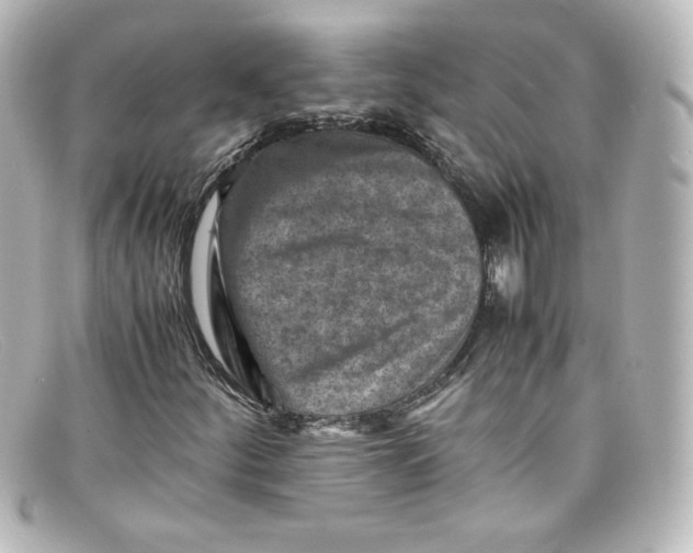 X0000098161252200805081056