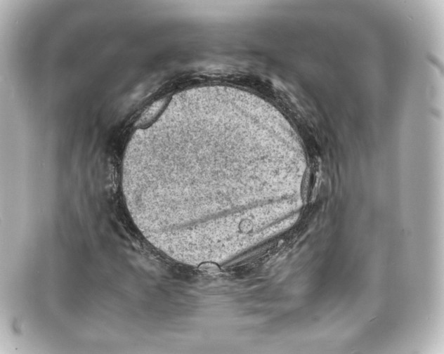 X0000098161253200805081056