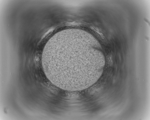 X0000098161254200805081056