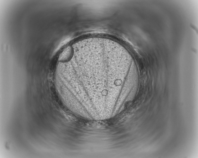 X0000098161255200805081056