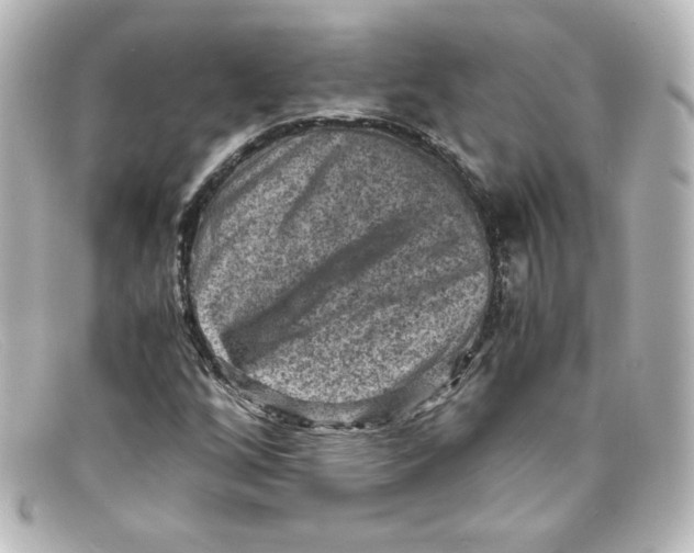 X0000098161256200805081056