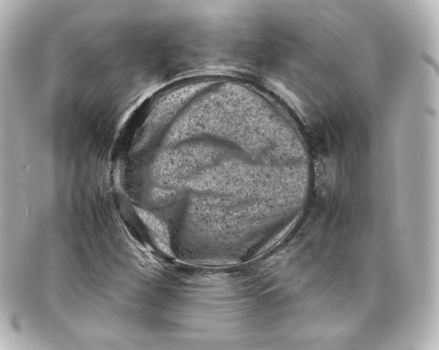 X0000098161260200805081056