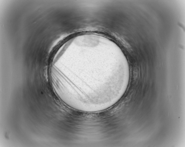X0000098161262200805081056