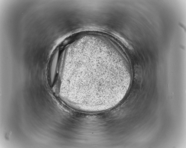 X0000098161264200805081056