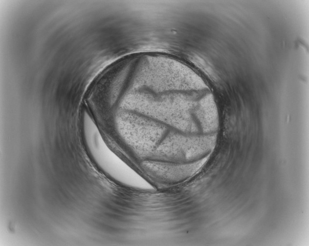X0000098161268200805081056