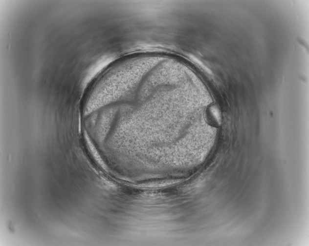 X0000098161269200805081056