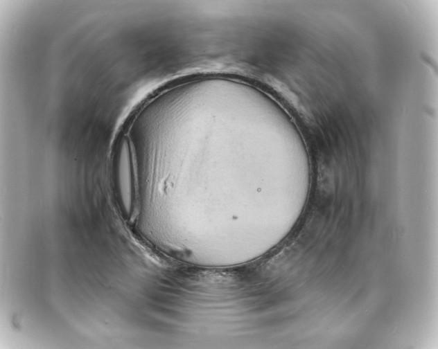 X0000098161270200805081056