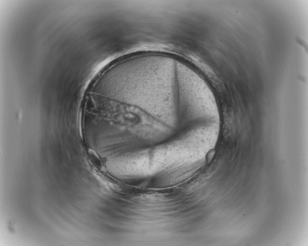 X0000098161272200805081056