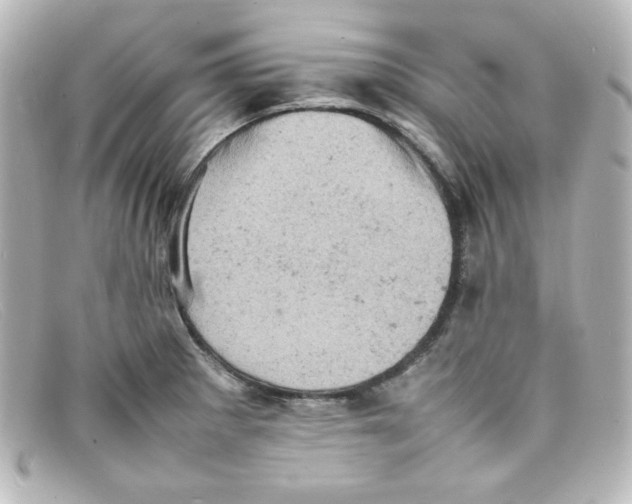 X0000098161281200805081056