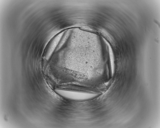X0000098161284200805081056