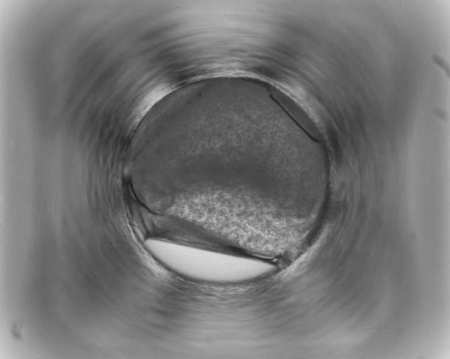 X0000098161289200805081055