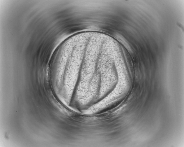X0000098161292200805081055
