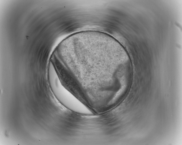 X0000098161296200805081055