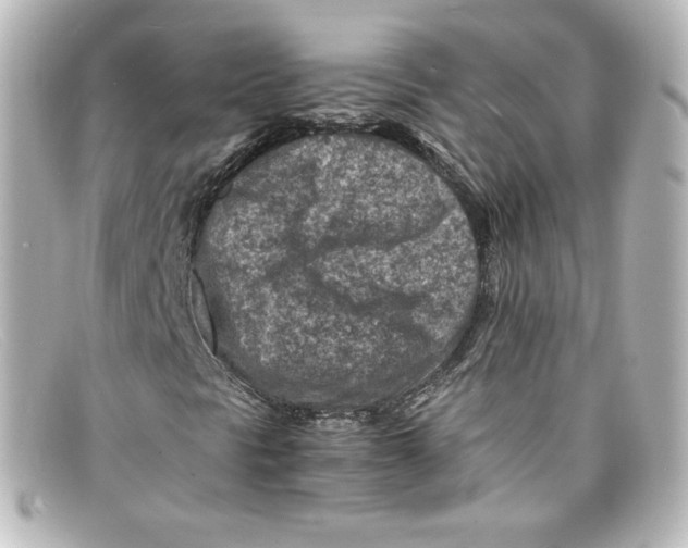 X0000098161297200805081055