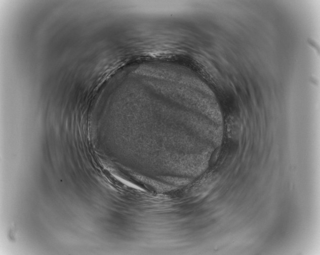X0000098161298200805081055