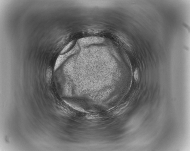 X0000098161299200805081055