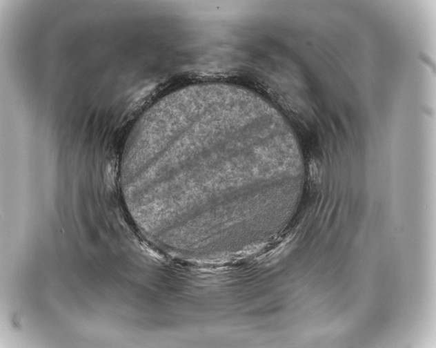 X0000098161300200805081055