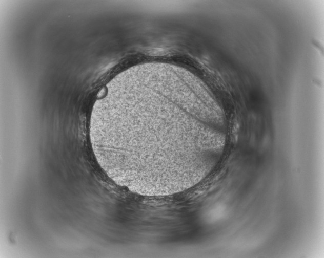 X0000098161301200805081055